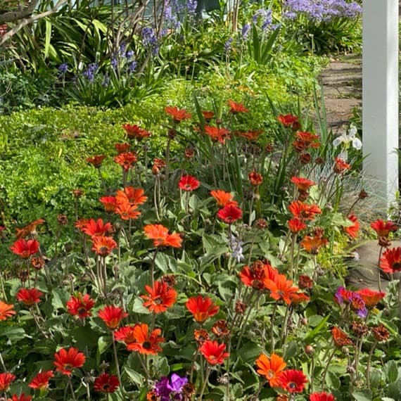 News sm campaign image for The Grubb Company