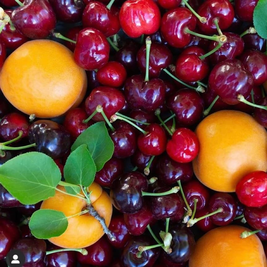 News sm campaign image for Berkeley Farmers' Markets